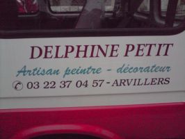 Delphine petit